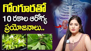 Health Benefits with Gongura | Health Tips | Gongura Benefits in Telugu | iDream Plus