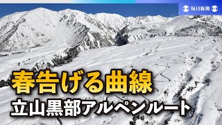 立山黒部アルペンルート　春告げる曲線　除雪進む