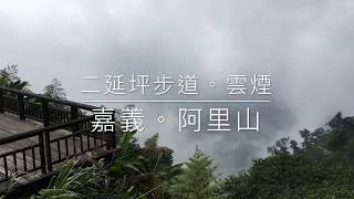 阿里山二延平步道。雲霧之美