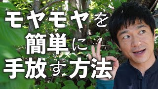 【モヤモヤを簡単に手放す方法】〜自分自身と向き合う「ひとり時間」〜お茶を飲み、季節を感じながら、ゆっくりと心に耳を傾けませんか？