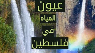 عيون الماء في فلسطين...عين المزراب بداخل كهف بوسط الجبل  (الجزء الثاني)