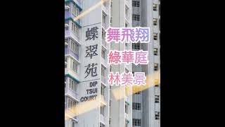 蝶翠苑 Dip Tsui Court 柴灣 綠置居 現樓 將入伙 租置計劃公屋 鑽石山啟鑽苑 青衣青富苑柴灣蝶翠苑