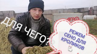 РЕЖЕМ СЕНО ДЛЯ КРОЛИКОВ///КРОЛИКИ//КРОЛИКОВОДСТВО🐰🐰🐰