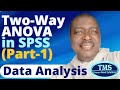 Two Way ANOVA in SPSS (Part-1): Data Analysis