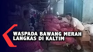 Waspada Bawang Merah Langka Di Kaltim