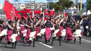 TOKYO　PHANTOM　ORCHESTRA／シンボルロード会場（審査あり）／第12回 黒潮よさこい祭り2015