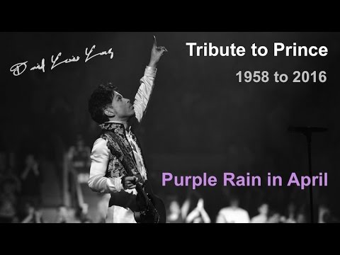 purple rain mp3 download free Adam levine performs 'purple rain' prince purple rain mp3.