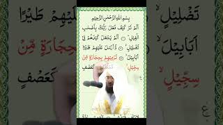 best recitation of the holy quran in the world | SurtulFeel by Qaree Sudais