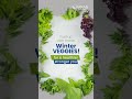 winter veggies for a healthier you boost immunity u0026 digestion