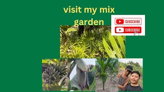 Visit my mix garden