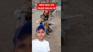 জোর করে সব কিছু হয় না #comedy #youtubeshorts #samratvai #foryou #viralshorts #viralvideo #funny