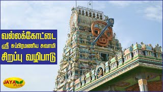 வல்லக்கோட்டை ஸ்ரீ சுப்பிரமணிய சுவாமி சிறப்பு வழிபாடு | Vallakottai Subramaniyaswami Temple