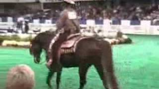 US Arabian Western Pleasure Open Final