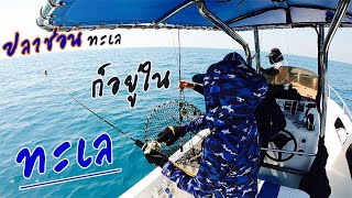 Jigging Pattaya #จิ๊กกิ้ง พัทยา เย้อปลาช่อนทะเลยักษ์ I หลัวพาลุย EP.2 I AnnyFishing