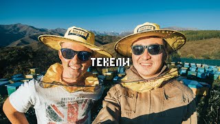 Tekeli, Kazakhstan: Dzhungar Alatau, mountain apiary, Yam-e-e-e and mushrooms