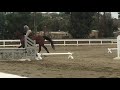 Bernie Traurig Clinic-Hunter