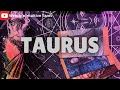 TAURUS❗️11:11 😱🔮YOUR PERSON SPEAKS THROUGH ME 💕✨ TAURUS 2024 TAROT LOVE READING