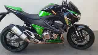 Kawasaki z800r Leo Vince L.  SBK