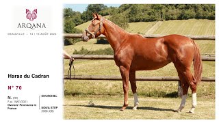 Arqana août 2022 - Lot N°70 - F. / Churchill x Nova Step - présentée par le Haras du Cadran