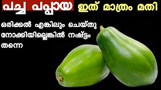 പപ്പായ ഒരു പ്രാവശ്യം ഇങ്ങനെ ഉണ്ടാക്കിയാൽ പിന്നെ ഇങ്ങനെയേ ഉണ്ടാക്കൂ | Papaya Curry | Papaya Recipes