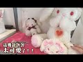 【趣遊法國】巴黎惊现日本『蘿莉塔』服装店！lolita fashion shop in paris｜パリのロリータ店｜utatv