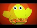 الكتكوت - طيور بيبي | Toyor Baby