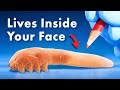 Everything You Didn't Know About Organisms Living Inside You