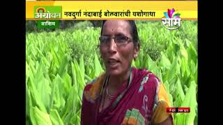 Washim: Nandabai Bolvar's farming success story