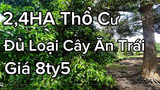 2,4HA Có Thổ Cư măng cụt sầu riêng bưởi chôm chôm giá 8ty5 sổ riêng pháp lý sạch chính chủ