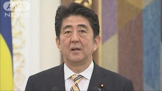 総理がウクライナ訪問「平和的解決に積極貢献」(15/06/07)