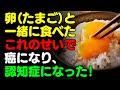 卵と一緒に 「これ」 は絶対に食べないで 🐣たまご, 玉子と食べると滋養強壮剤になる食品3選＆レシピ！栄養補助食品の代わりにこれを食べよう 【がん・認知症予防、脳健康情報、栄養効果 料理 オムライス】