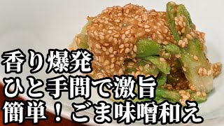 タラの芽 料理 レシピ☆天ぷらもいいけど！香りがヤバい♪ごま味噌和えも美味しいよね