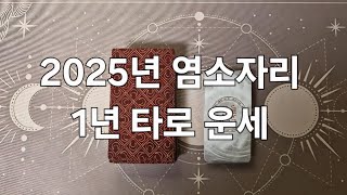 2025년 염소자리 1년 타로운세