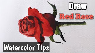 Red rose watercolor painting | How to draw a rose for beginners