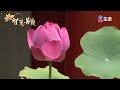 智慧菩提 478 _智慧菩提_ lifetv_20240227_07：00