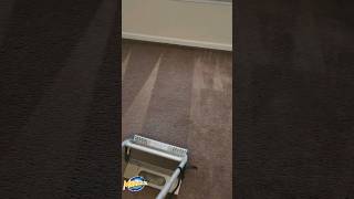 Scrubbing a room with the CRB in a home that's for sale #carpetcleaning #asmrsounds #beforeandafter