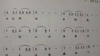 ［大家一起來學唱台灣歌仔戲］操琴調+月夜思情，甄柔翻唱，伴奏出自［歌仔戲曲調卡拉OK樂譜集］，外國朋友可以用你們熟識的記音拼音方式，台灣老幼朋友可以同時學台語，也請把歌詞背起來！