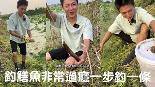 今天釣鱔魚真的非常過癮，一步釣一條 ！#viralvideo #fishing #農村生活 #熱門 #捕魚