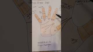 उंगलियों के पोर I जीवन का राज  Finger Phalanges #palmistry #astrologytips #astrology #jyotish