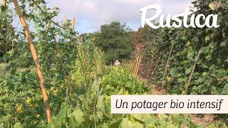 Un potager bio intensif