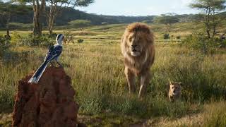 Simba try to catch Zazu | The Lion King 2019