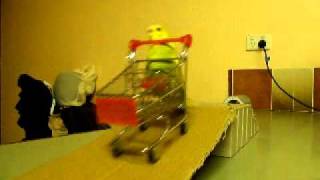 More of Trieste Visiers budgie tricks Kato the budgie shopping cart trick