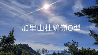 加里山、杜鵑嶺、鐵道O走  大坪上