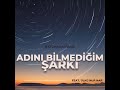 Batuhan Uyanık ft. Ülkü Nur Nar - Adını Bilmediğim Şarkı