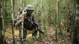 31st MEU Marines Conduct Jungle Warfare