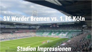 SV Werder Bremen vs. 1. FC Köln 1:1 I KLASSENERHALT PERFEKT✅ I Stadion Impressionen #27