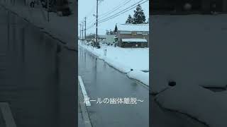 ポールが幽体離脱してた〜#富山県 #幽体離脱 #雪