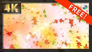 【4K】無料CG背景素材　10秒ループ動画　ゆっくり舞い散る紅葉【Aftereffects】