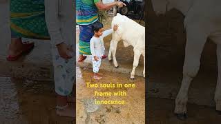 ఎంత అమాయకత్వం కల్మషం లేని మనసు Innocent souls #hometown#shortsvideo #shorts