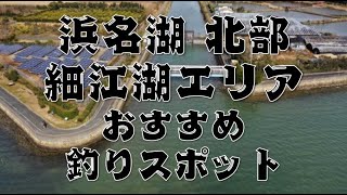 【浜名湖 北部】『細江湖』のおすすめ釣りスポット4選